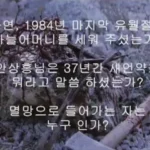 5.31.41